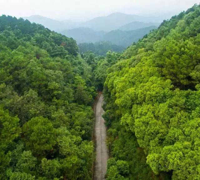 佛山新增一个国家级森林公园！美爆，堪称世外桃源