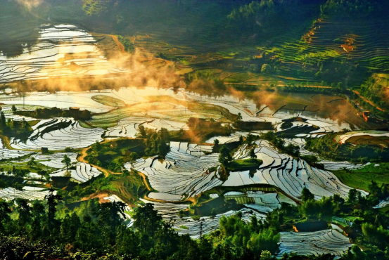 有被誉为“江西千岛湖”的高峡平湖——赣州阳明湖-第9张图片-安阳富翔贸易公司